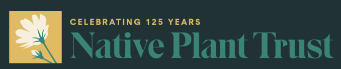 $45 Class: How Insects Use Plants - Native Plant Trust
